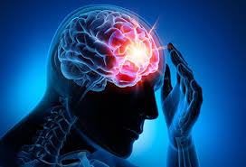 Picture of brain with brain center highlighted